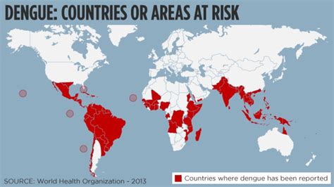dengue fever in argentina